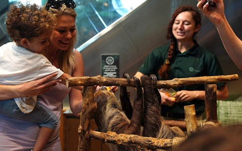 Green Planet Dubai Tickets