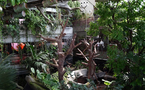 Green Planet Dubai Tickets