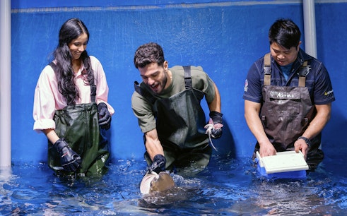 Dubai Aquarium & Underwater Zoo with Penguin Cove Tickets