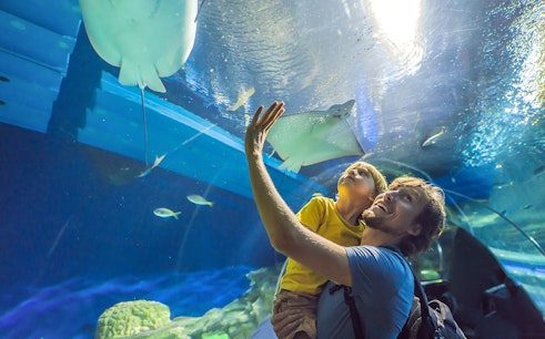 Dubai Aquarium & Underwater Zoo with Penguin Cove Tickets